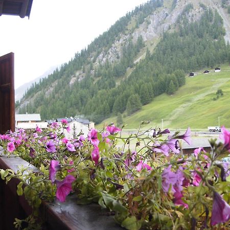 Hotel Adele Livigno Dış mekan fotoğraf